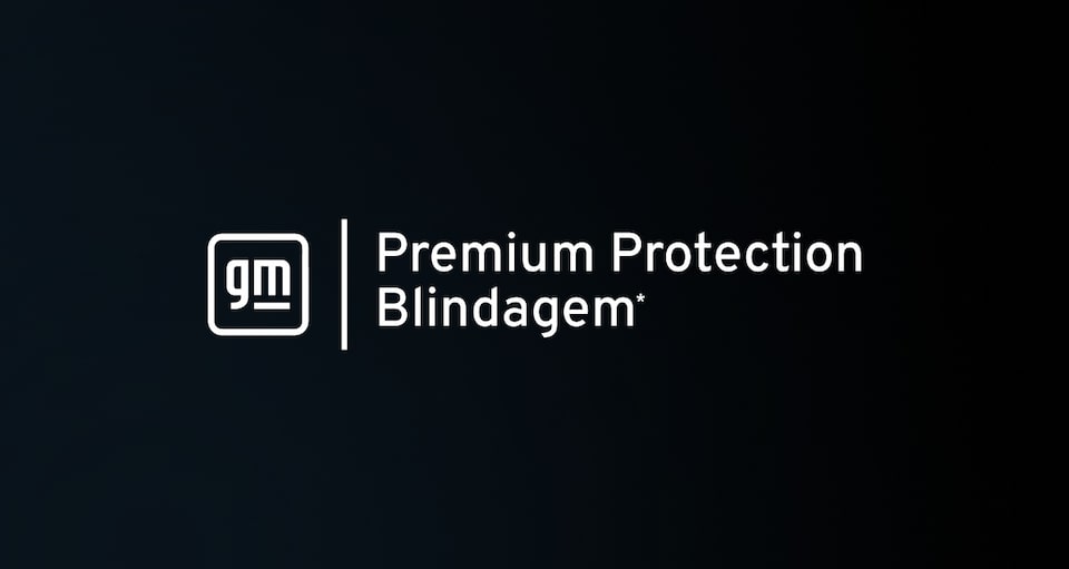 Premium protection blindagem