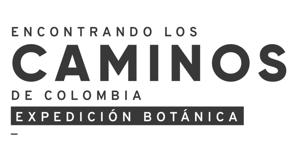 Encontrando los caminos de colombia con la expedición botánica