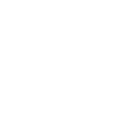 Ícono de seguridad avanzada.