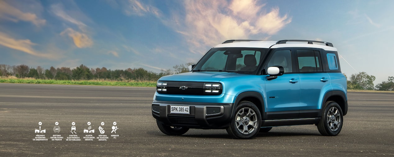 Spark EUV estacionado con vegetación de fondo.