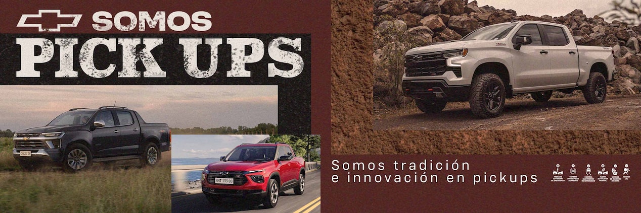 Somos Pick Ups. Somos tradición e innovación en pickups.