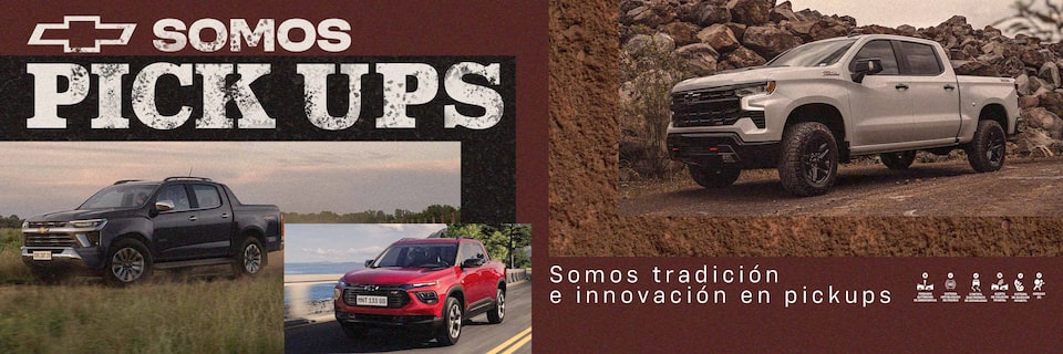 Somos Pick Ups. Somos tradición e innovación en pickups.