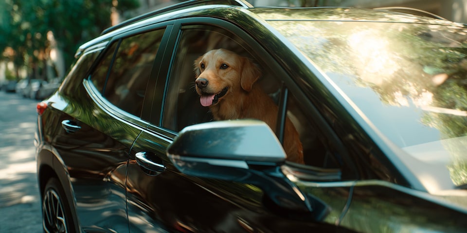 Chevrolet OnStar - Servicio de protección y emergencia para mascotas