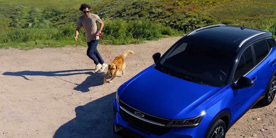 Chevrolet Groove estacionada sobre la cima de un mirador, vista desde arriba, junto a un hombre y su perro corriendo a un costado. 